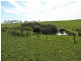 306 Stuhrs Road, Darnum VIC 3822