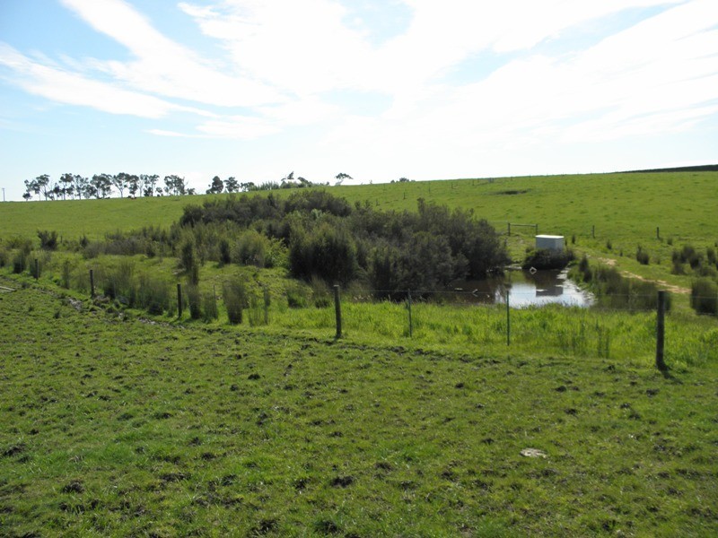 306 Stuhrs Road, Darnum VIC 3822
