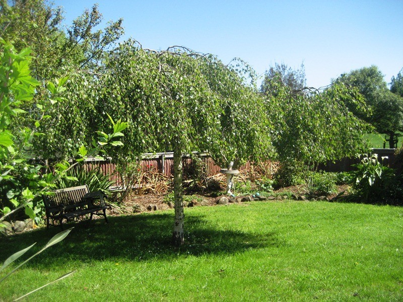 1775a Main Neerim Road, Neerim South VIC 3831