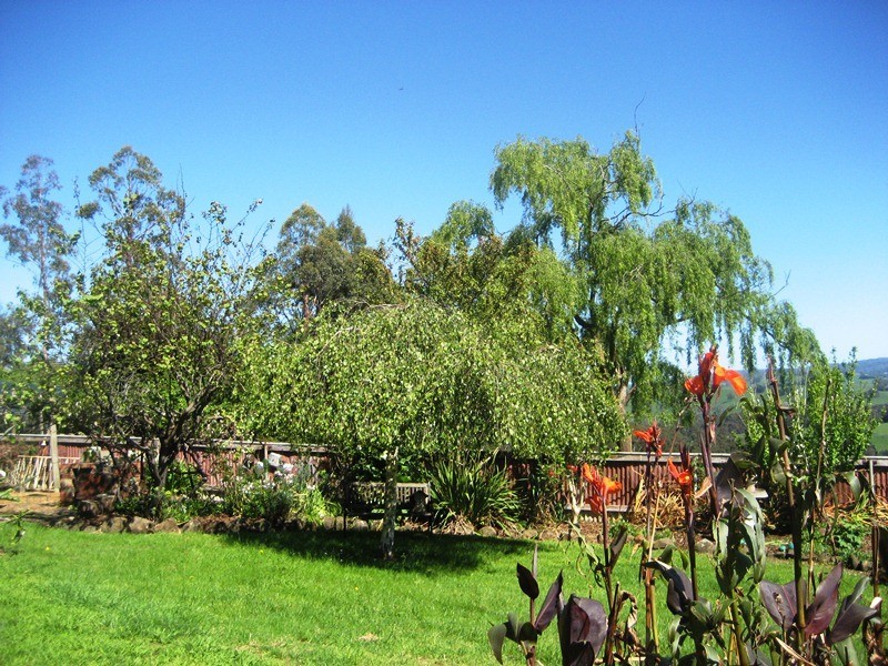 1775a Main Neerim Road, Neerim South VIC 3831