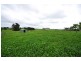 223 Brandy Creek Road, Warragul VIC 3820