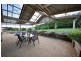 5 Huntingdon Court, Drouin VIC 3818