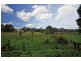 215 Armours Road, Warragul VIC 3820