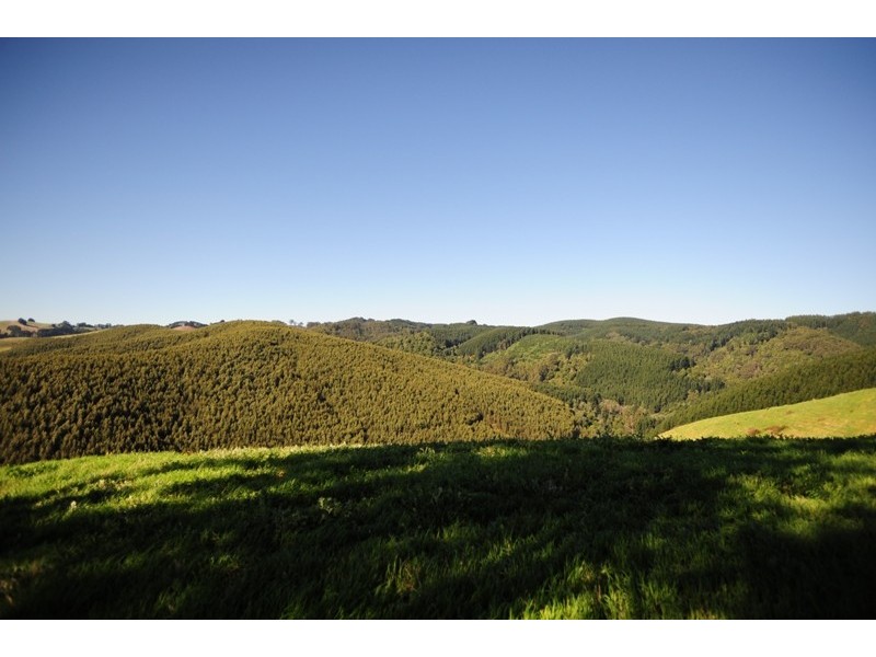 1081 Darnum Allambee Road, Cloverlea VIC 3822