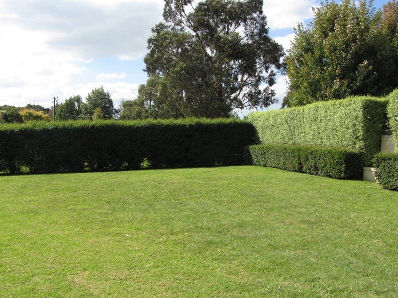 7 Wallace Crescent, Drouin VIC 3818