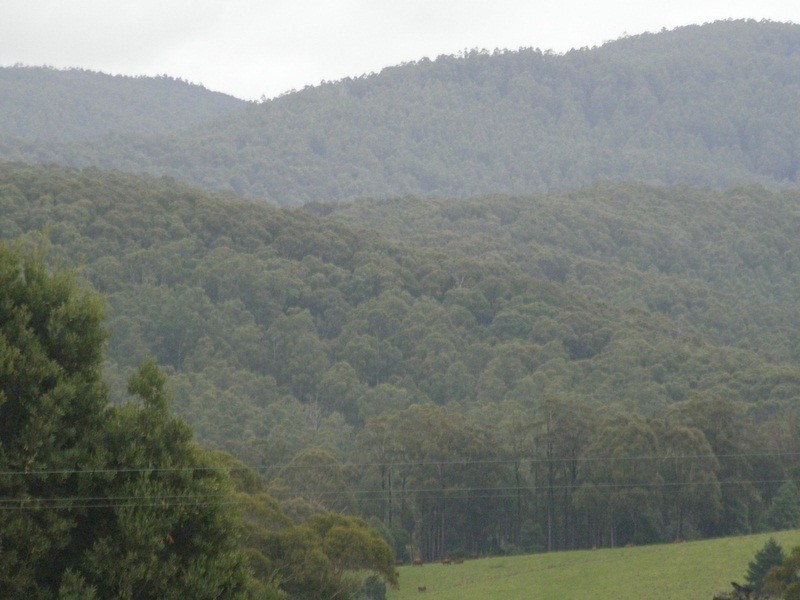 10 Hamono Road, Neerim VIC 3831