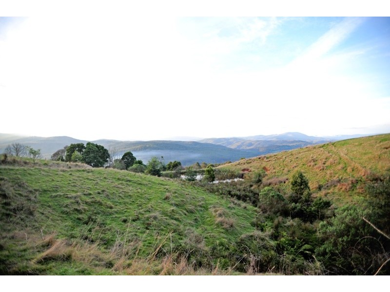 3170 Main Neerim Road, Neerim Junction VIC 3821