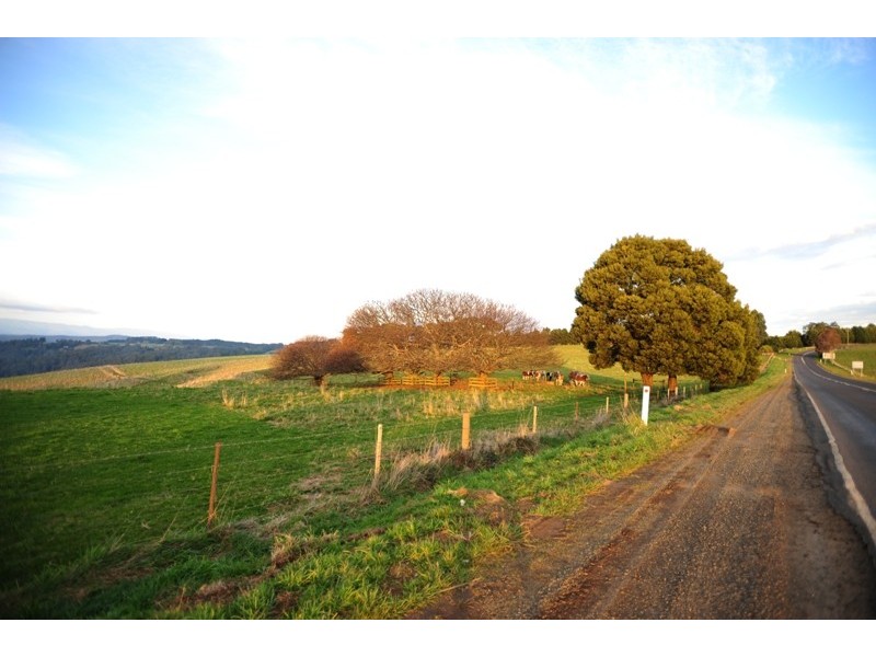 3170 Main Neerim Road, Neerim Junction VIC 3821