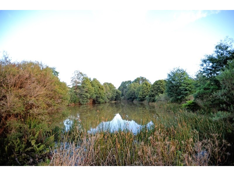3170 Main Neerim Road, Neerim Junction VIC 3821