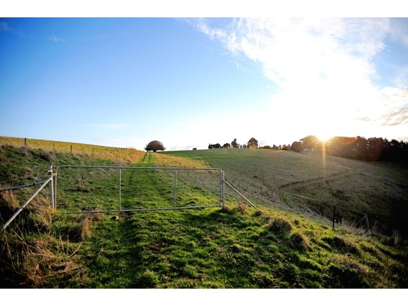 3170 Main Neerim Road, Neerim Junction VIC 3821