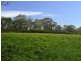 184 Hopetoun Road, Drouin VIC 3818