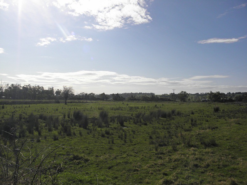 95 Longwarry Drouin Road, Longwarry VIC 3816