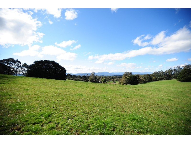 150 McIntyre Road, Nayook VIC 3821
