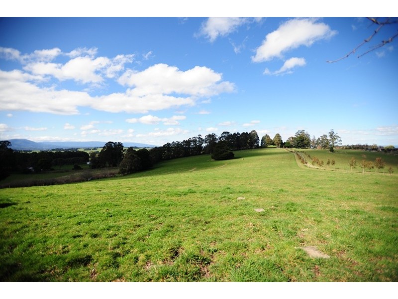 150 McIntyre Road, Nayook VIC 3821