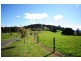 150 McIntyre Road, Nayook VIC 3821