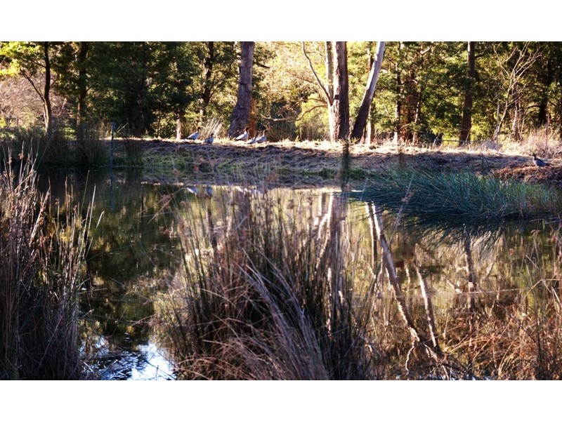 100 Gunn Road, Crossover VIC 3821