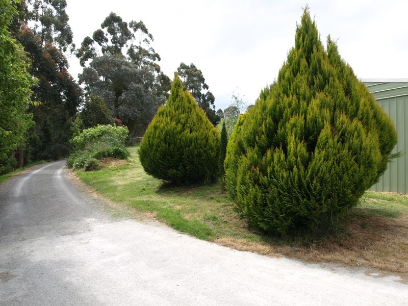 61 Ferndale Strzelecki Road, Ferndale VIC 3821