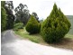 61 Ferndale Strzelecki Road, Ferndale VIC 3821