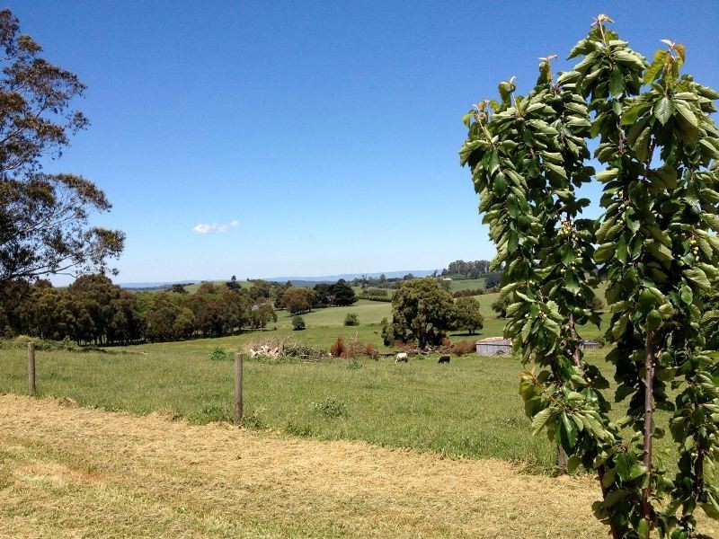 Lot 4 Hamono Road, Neerim VIC 3831