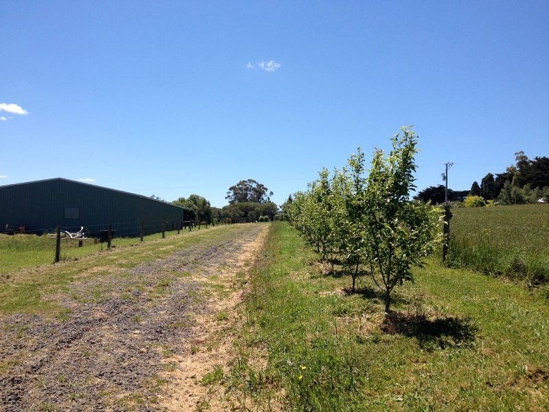 Lot 4 Hamono Road, Neerim VIC 3831