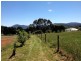 Lot 4 Hamono Road, Neerim VIC 3831