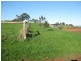Lot 4 Hamono Road, Neerim VIC 3831