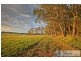 145 Swan Road, Athlone VIC 3818