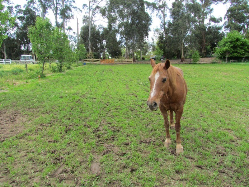 .48 McDougal Road, Neerim South VIC 3831