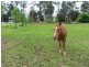 48 McDougal Road, Neerim South VIC 3831