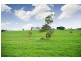 98 Stoddarts Road, Warragul VIC 3820