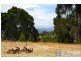 281 Rogers Road, Trafalgar South VIC 3824