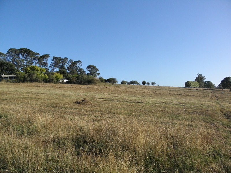 Lot 3, 263 Longwarry Road, Drouin VIC 3818