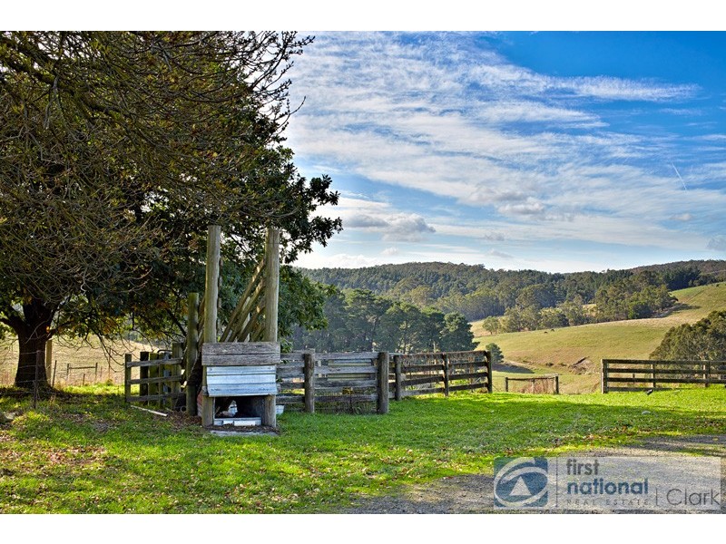 155 Clarke and Barr Road, Jindivick VIC 3818