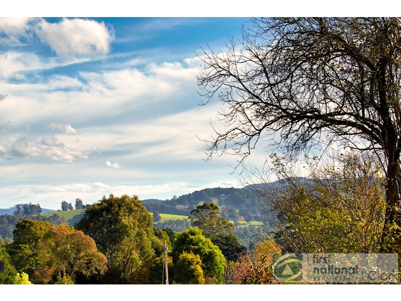 2955 Main Neerim Road, Neerim Junction VIC 3821
