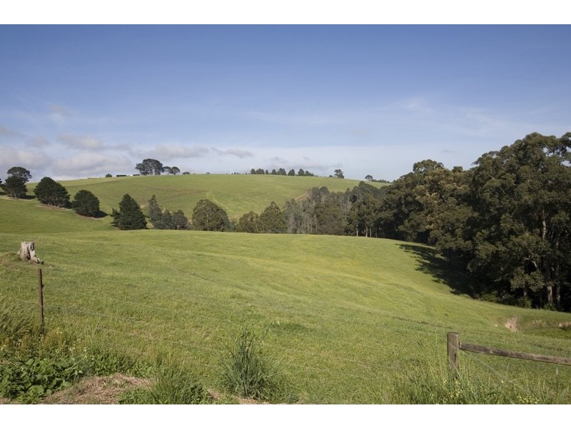 55 Harvie Road, Neerim Junction VIC 3821