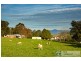 Lot 43 Burvill Court, Warragul VIC 3820