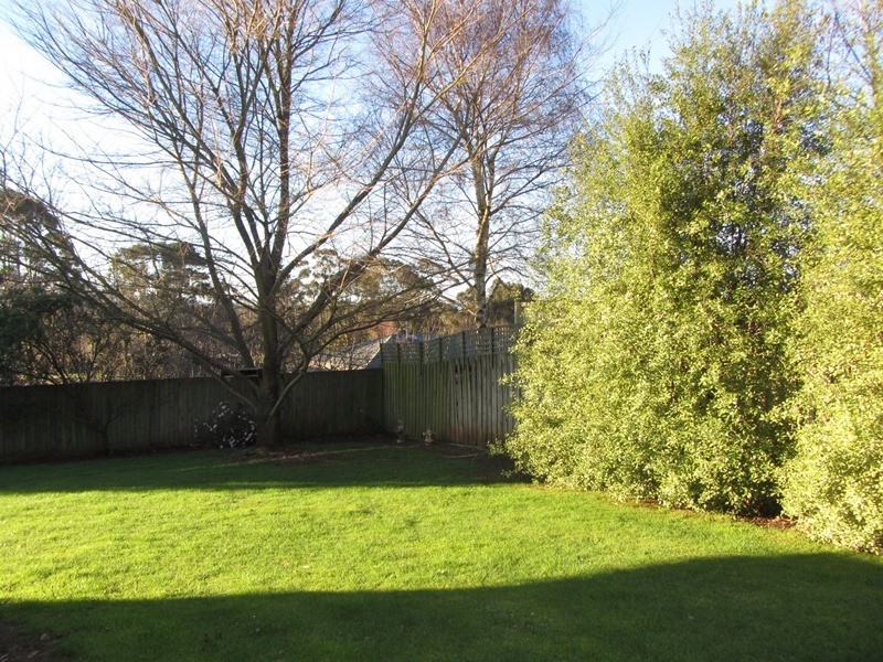 15 Wallace Crescent, Drouin VIC 3818