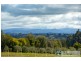 16 Shearmans Road, Darnum VIC 3822