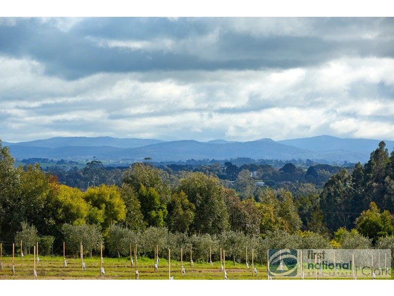 16 Shearmans Road, Darnum VIC 3822