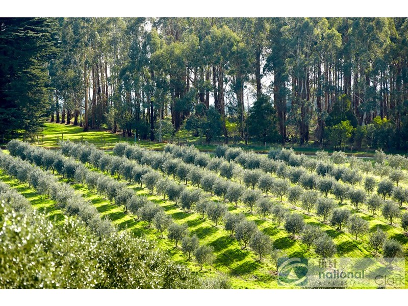 16 Shearmans Road, Darnum VIC 3822