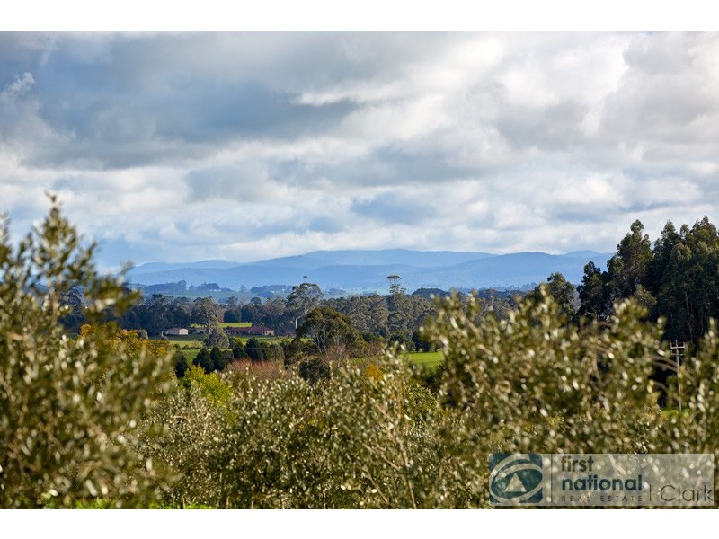 16 Shearmans Road, Darnum VIC 3822