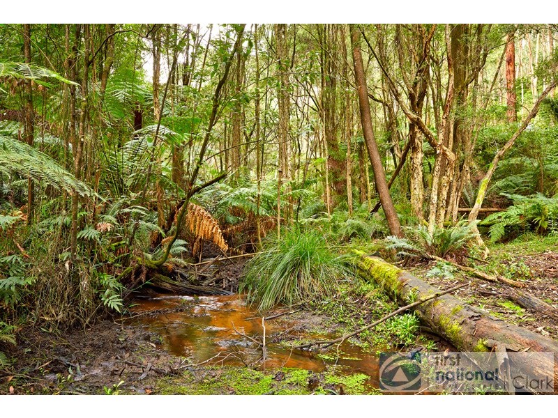 837 Jacksons Track, Jindivick VIC 3818