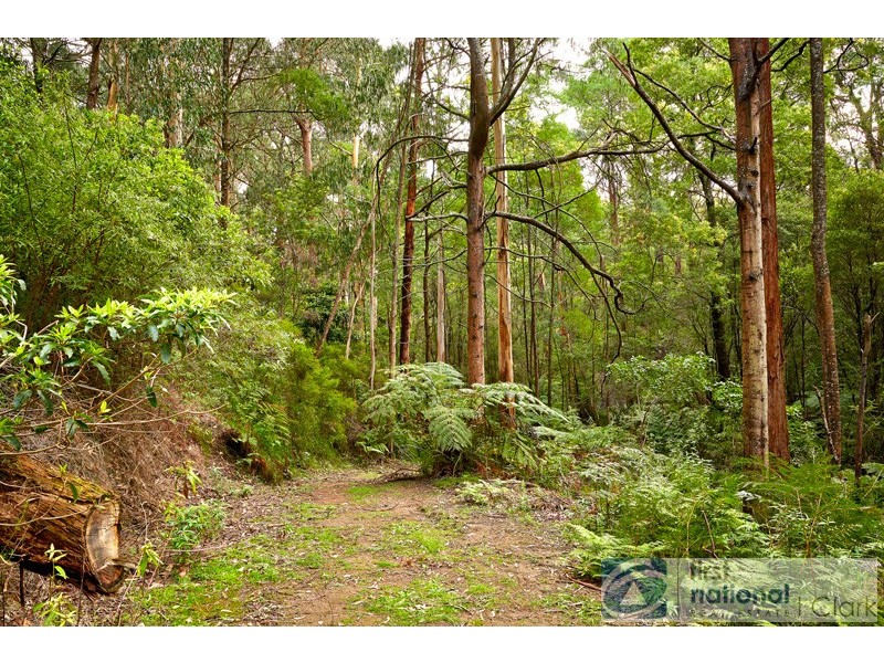 837 Jacksons Track, Jindivick VIC 3818