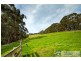 837 Jacksons Track, Jindivick VIC 3818