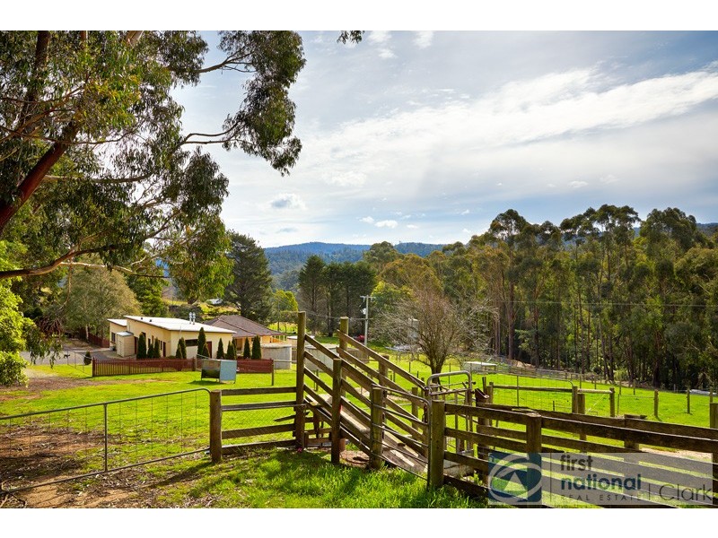 837 Jacksons Track, Jindivick VIC 3818