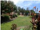 17 Janine Court, Drouin VIC 3818
