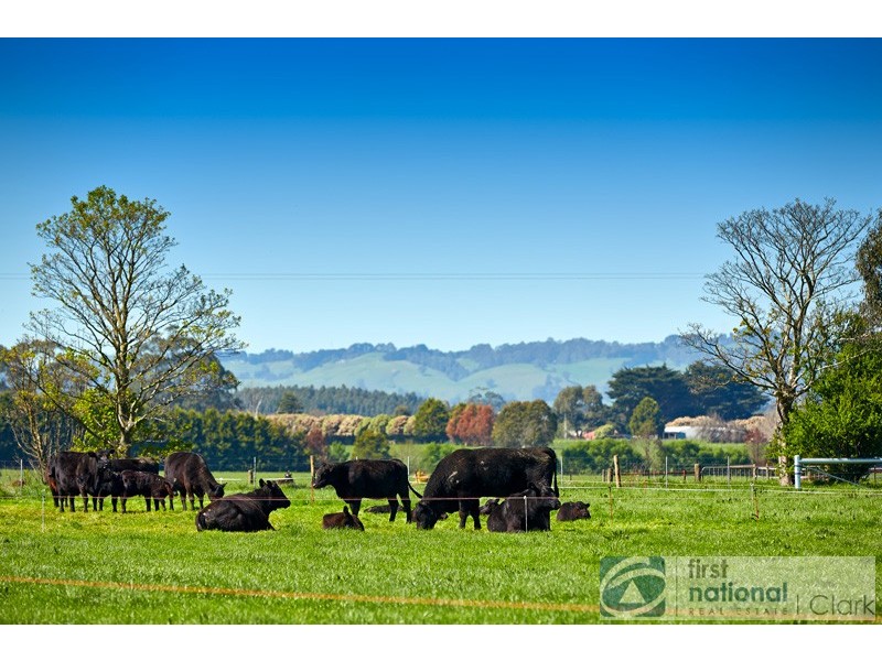 19 Evison Road, Nilma VIC 3821