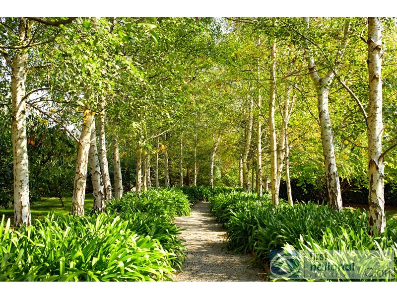 5 Ablett Court, Drouin VIC 3818