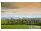 230 Old Telegraph Road, Jindivick VIC 3818