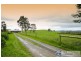 230 Old Telegraph Road, Jindivick VIC 3818